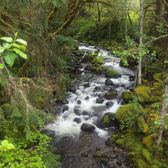 Meet your Posher, Daniel - Picture 1 of 1